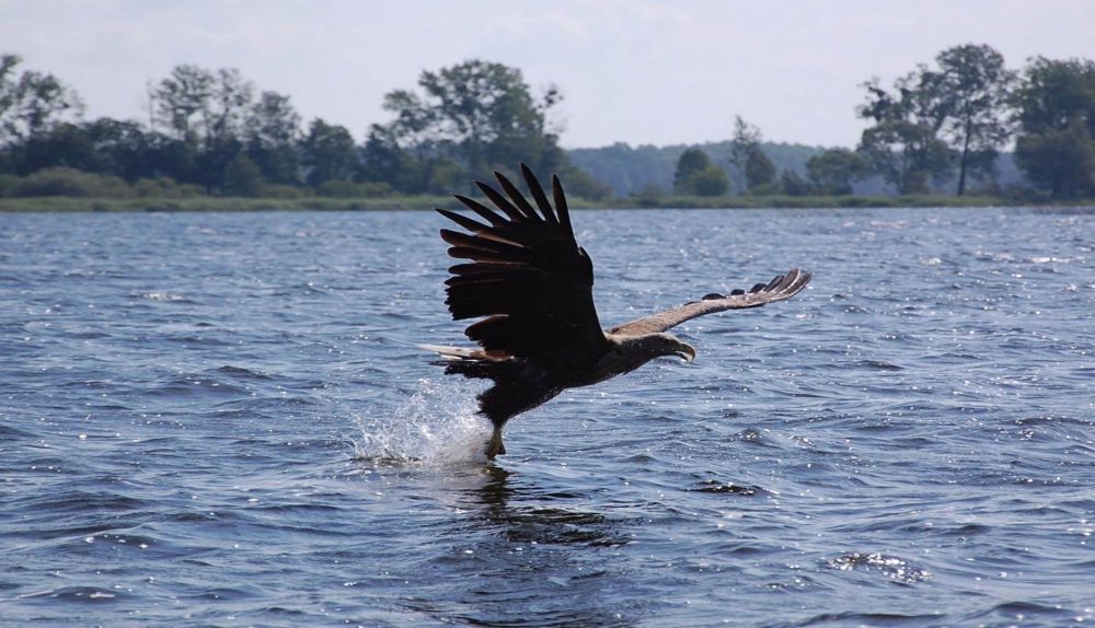 files/eucc_images/img/Kurzmeldungen/CATCH/Bild6.jpg